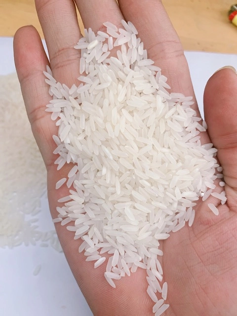 Ảnh gạo ST25 trắng trên tay
