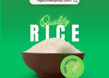 TÌM MUA GẠO CHẤT LƯỢNG GIÁ SỈ GÒ VẤP KHÔNG KHÓ