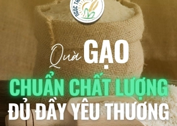 CUNG CẤP GẠO TỪ THIỆN NGỌC THIÊN PHÚC HƯỚNG TỚI XÃ HỘI NHÂN ÁI 