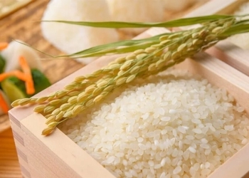 CẦN GÌ TO LỚN XA HOA, GẠO ST25 CHUẨN NGON LÀM QUÀ THIẾT THỰC 