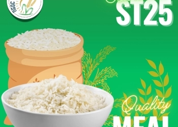 GIỚI THIỆU GẠO ST25