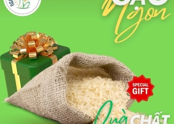 MUA GẠO ST25 CHUẨN NGON TẶNG NGƯỜI NHÂN VIÊN CHO DỊP LỄ NÀY