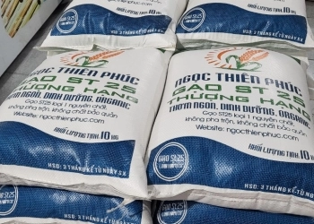 Cách chọn gạo ngon, gạo mới 