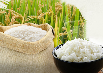 ĐỊA ĐIỂM BÁN GẠO CHẤT LƯỢNG GIÁ SỈ TÂN BÌNH